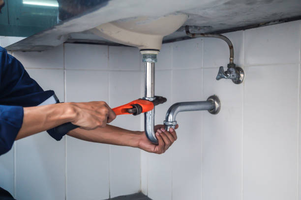 Best Plumbing Inspection Services  in Fairmont, IL