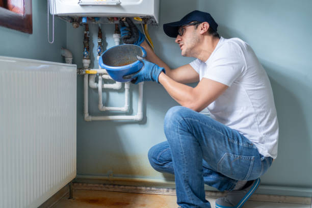 Best Plumbing Inspection Services  in Fairmont, IL